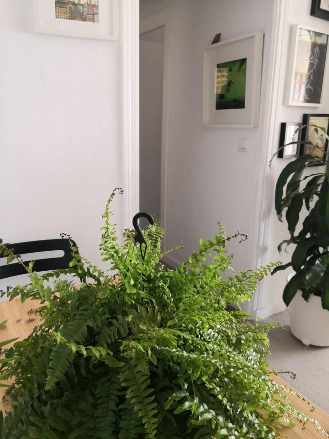 My Quiet House Apartment Малага Екстериор снимка