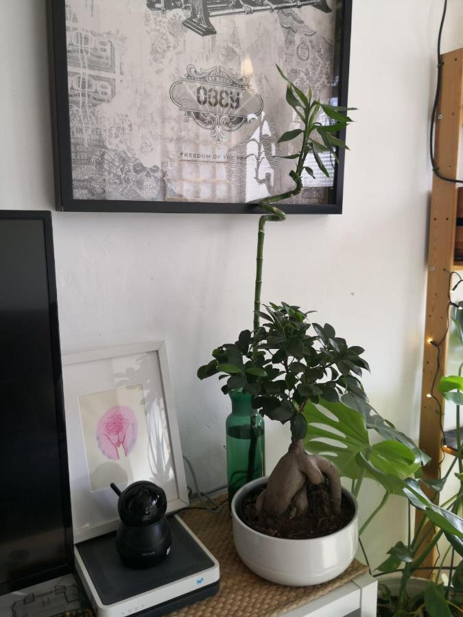 My Quiet House Apartment Малага Екстериор снимка