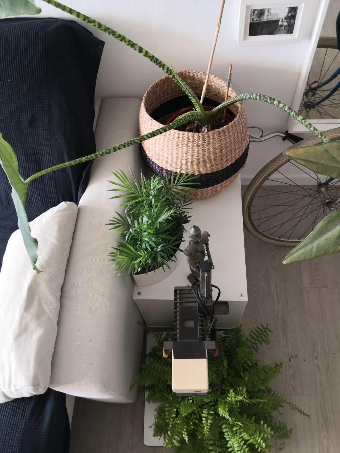 My Quiet House Apartment Малага Екстериор снимка
